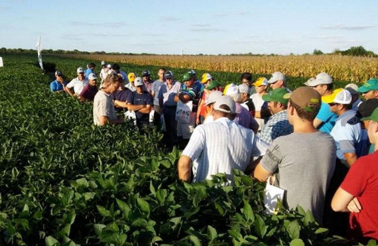 Capacitación A campo
