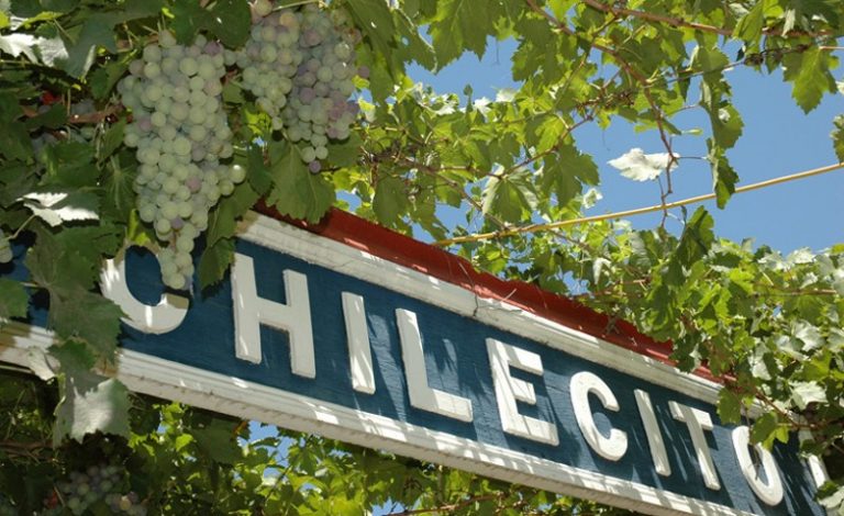 La Riojana - viñedos