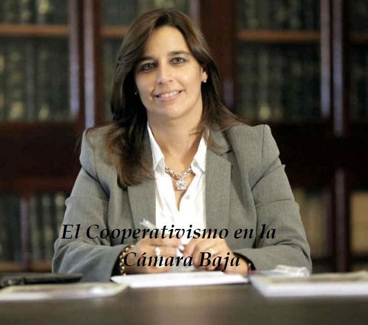 Dip. Soledad Carrizo