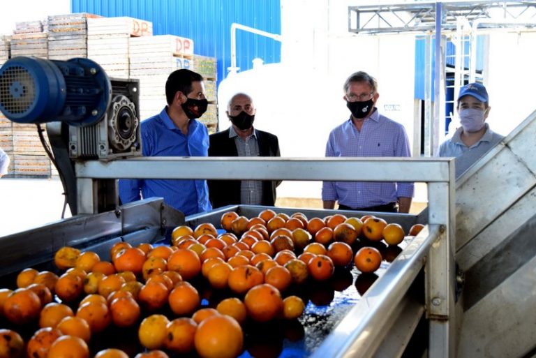 Cítricos en Entre Ríos