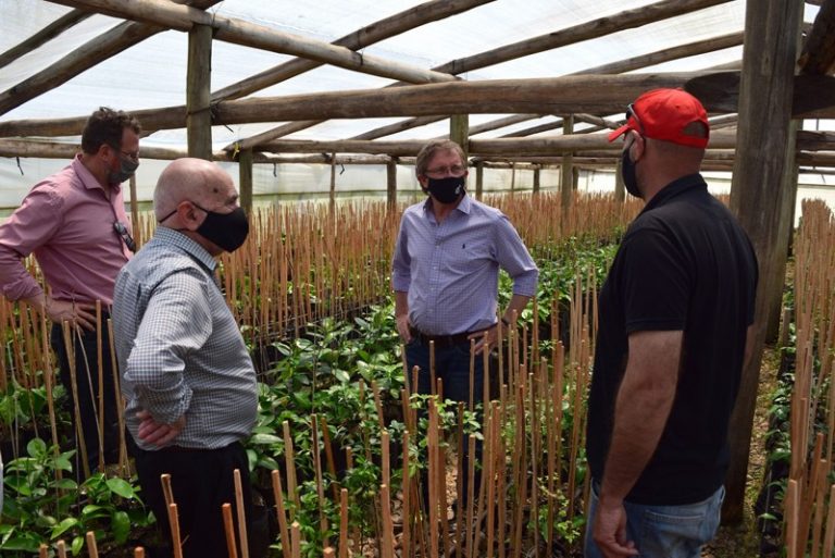 Fitosanitarios en Entre Ríos