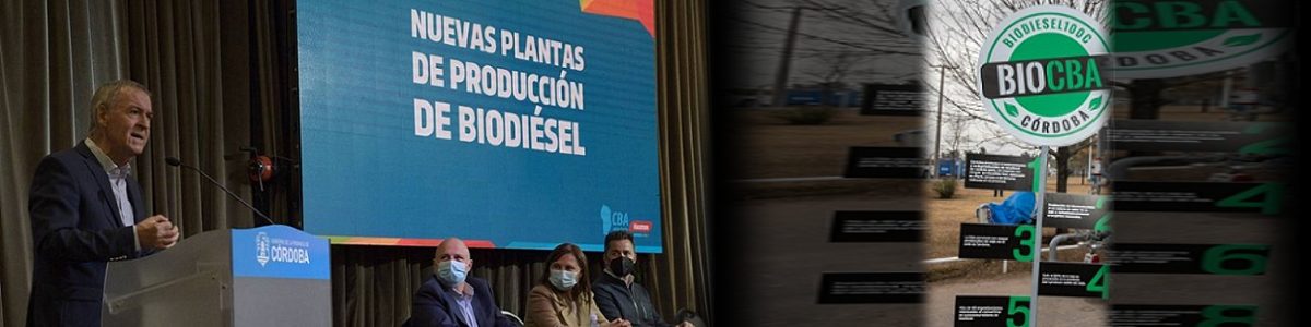 12 PLANTAS NUEVAS BIODISEL 1200