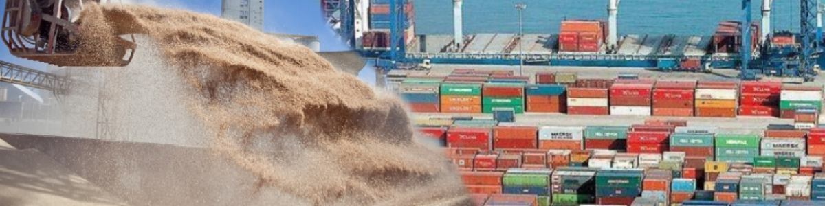 ARGENTINA EXPORTA VALOR