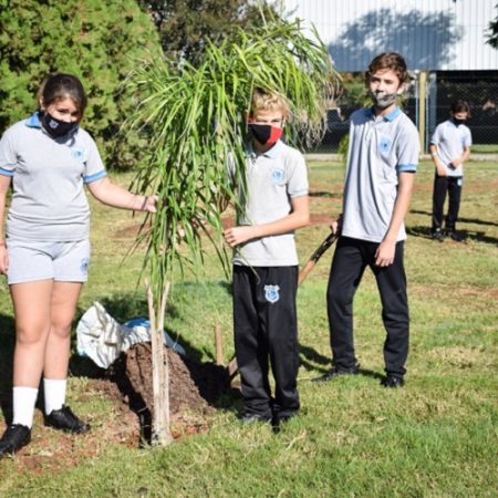 Alumnos plantan árboles 2