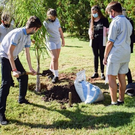 Alumnos plantan árboles 3