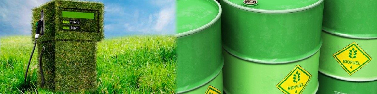 BIOCOMBUSTIBLES 1200