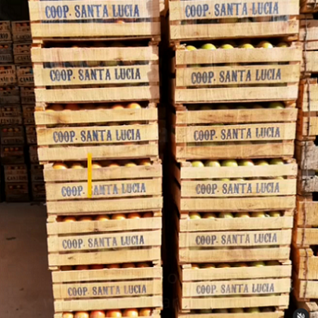 Cajones Santa Lucía