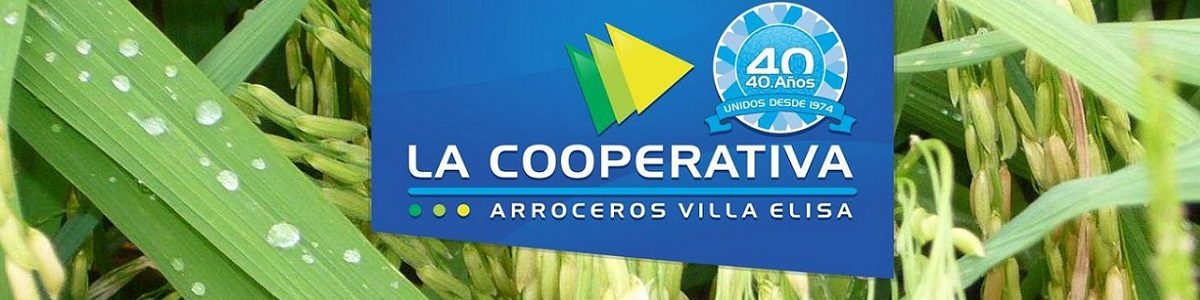 Cooperativa de Villa Elisa 12002