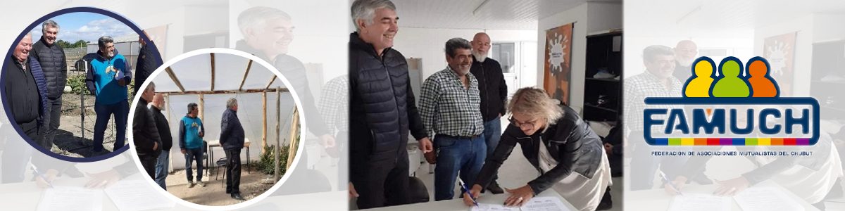 DOLAVON MODELO A SEGUIR 1200