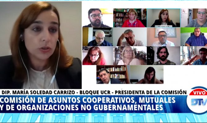 Diputada Soledad Carrizo