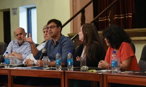 Dr. Alexandre Roig panel Devoto