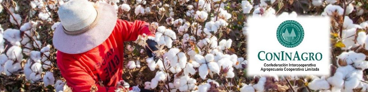 ECONOMIAS REGIONALES 1200