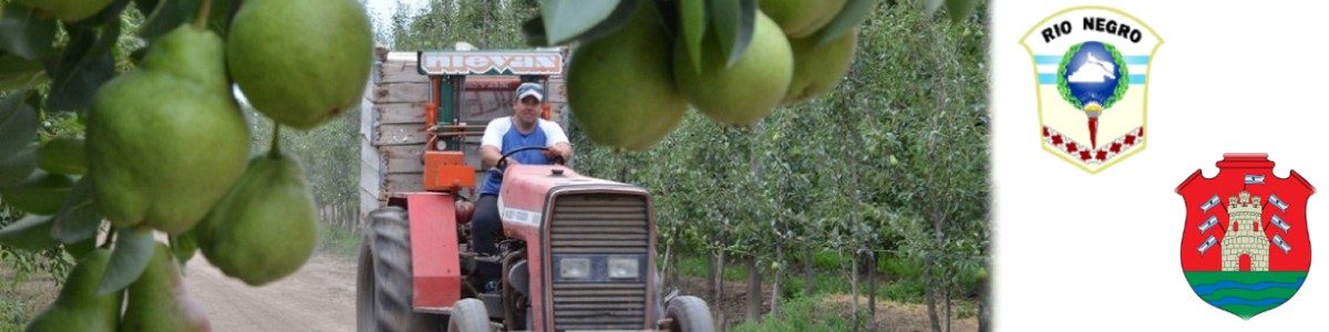 FEMUCOR IMPULSA CORREDOR CORDOBA 1200