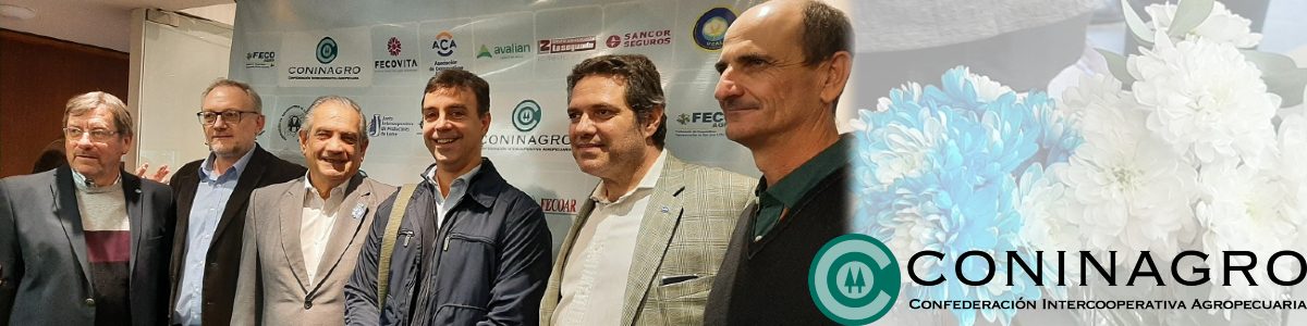 FRATERNAL REUNION 1200