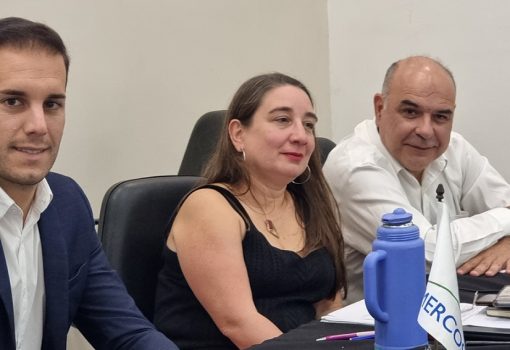 Guillermo Tavernier- Zaida Chmaruk- Carlos Andrés Mansilla