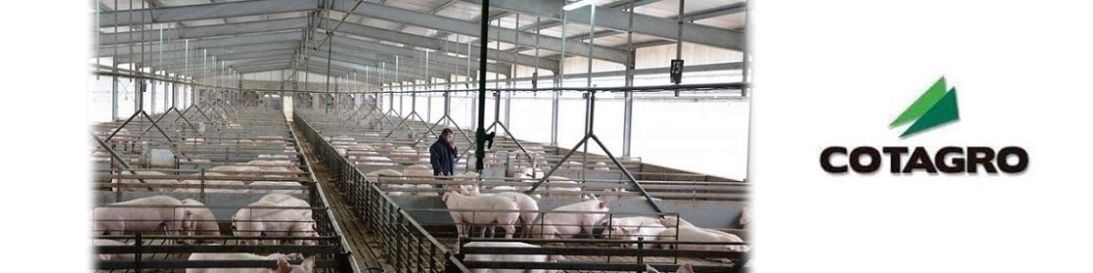 INVERSIONES DE COTAGRO 1200