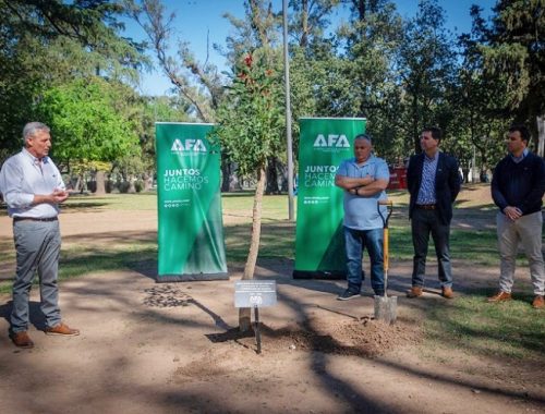 Juntos en el camino AFA