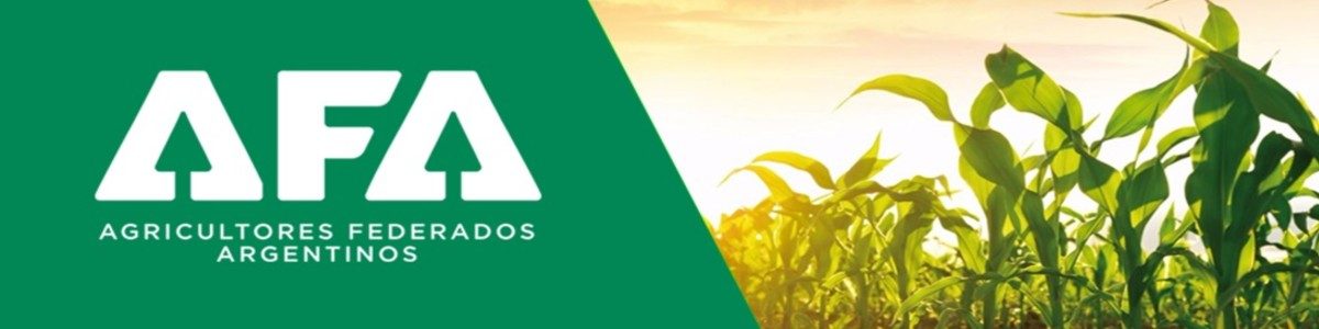 LA MEJOR RECETA 1200