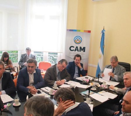 Mesa Ejecutiva CAM