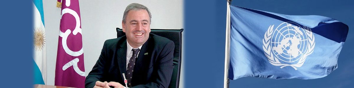 ONU Y UN AÑO NUEVO 1200