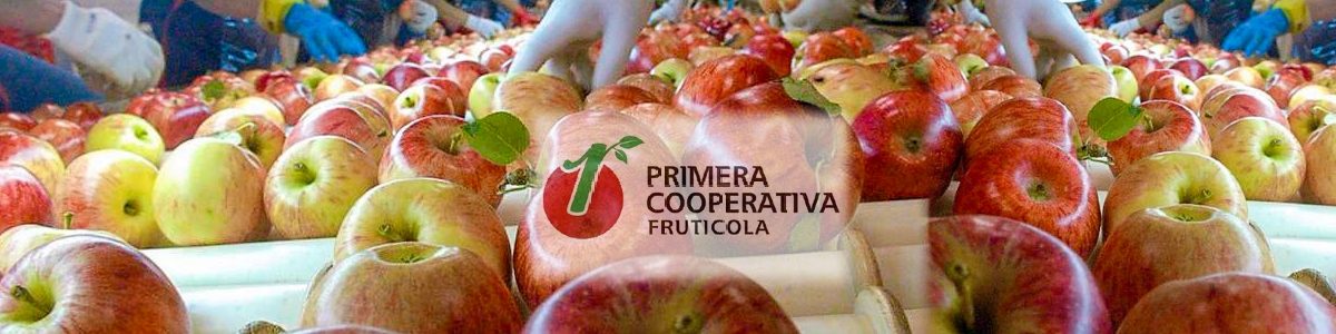 PRIMERA COOPERATIVA FRUTICOLA 1200