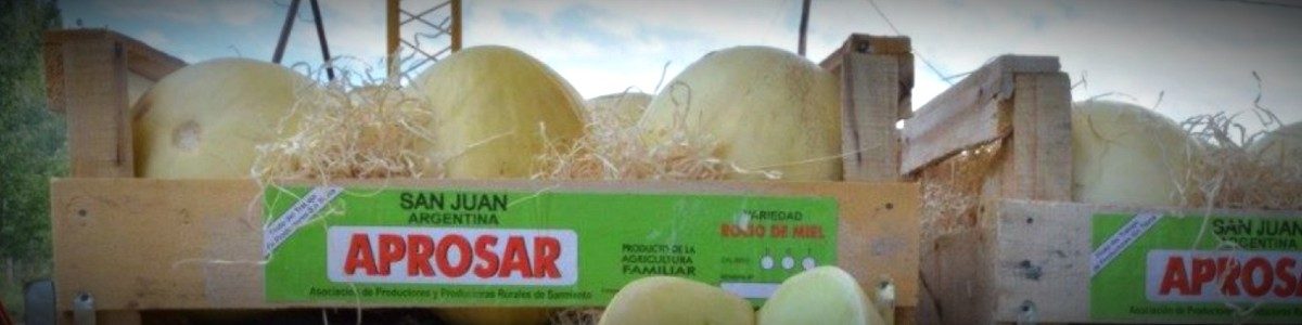 PRODUCTOS SANJUANINOS 1200