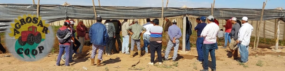 REUNION AGROSAR 1200