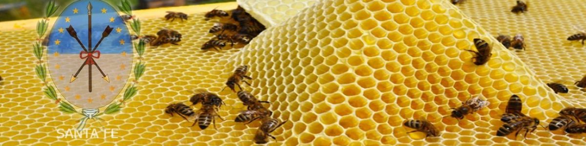 SANTA FE MIEL (1)
