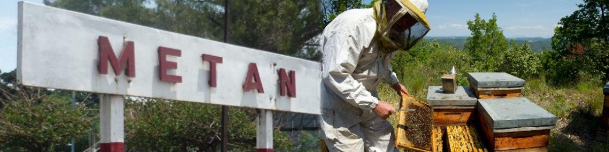 Salta alienta coop apicola 1200