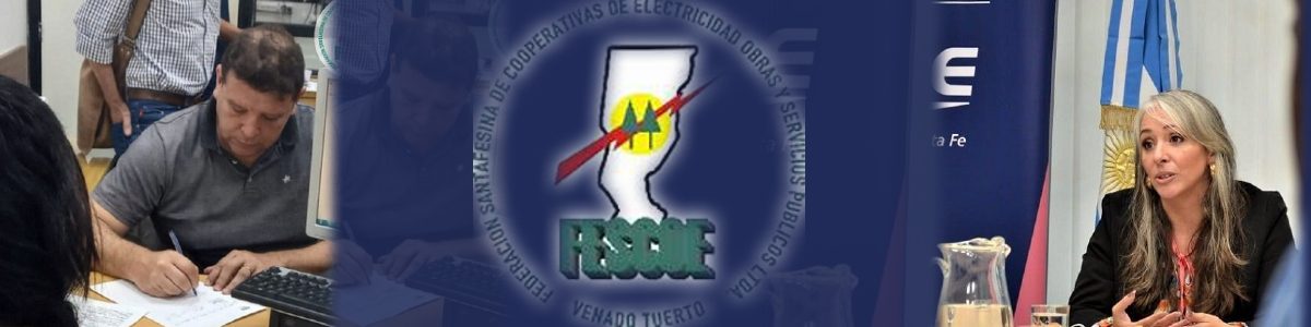 TENDIDO DE LINEA - FESCOE 1200