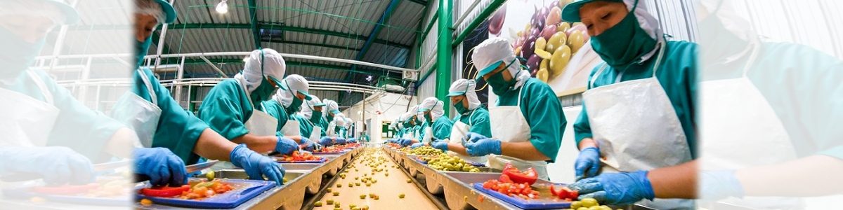 VALOR AGREGADO CLAVE PARA LA ARGENTINA